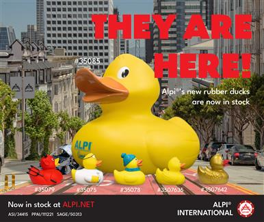 All of Alpi's New Rubber Ducks are Now in Stock!