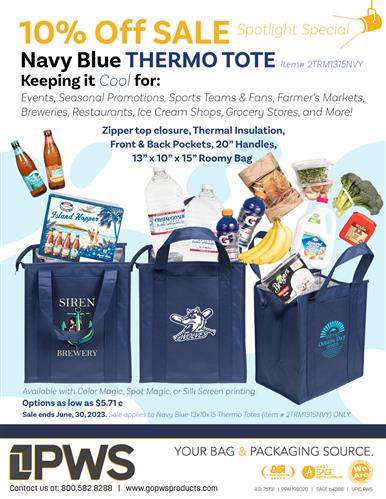 Spotlight Promotion: Navy Insulated Tote on SALE